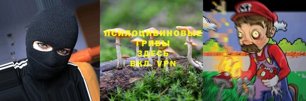 индика Зеленодольск