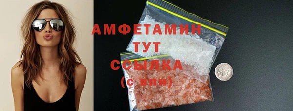 индика Зеленодольск