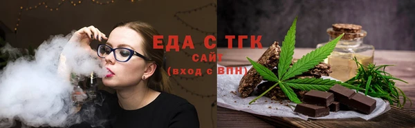 индика Зеленодольск
