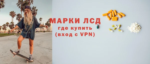 индика Зеленодольск