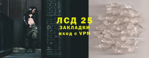 PSILOCYBIN Каменногорск