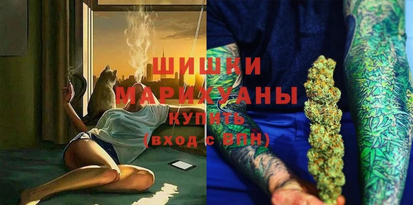 индика Зеленодольск