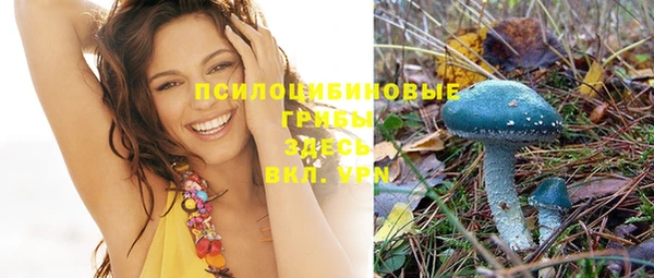 PSILOCYBIN Зеленокумск