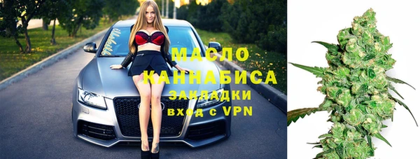 индика Зеленодольск