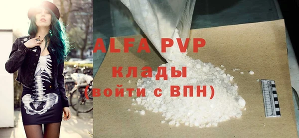 индика Зеленодольск