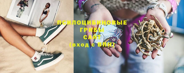 PSILOCYBIN Зеленокумск