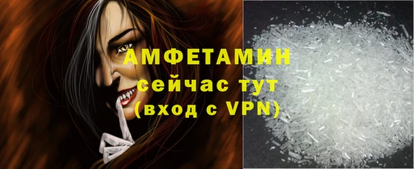 индика Зеленодольск