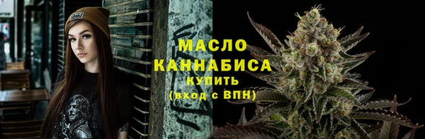 индика Зеленодольск